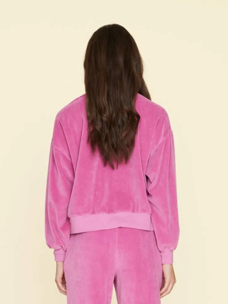 Xirena Sweats & Tees<French Rose Huxley Velour Sweatshirt
